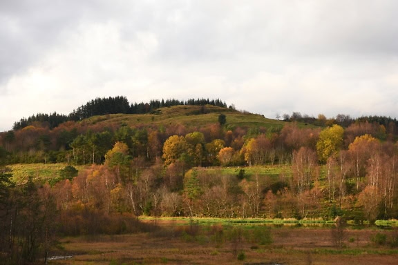 Landskap av en färgrik höstkulle med träd och gräs på hösten, landskap av naturparken i Norge