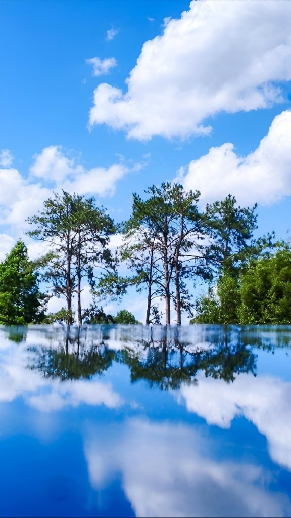 Reflexion von Bäumen und blauem Himmel mit weißen Wolken auf einer Wasseroberfläche