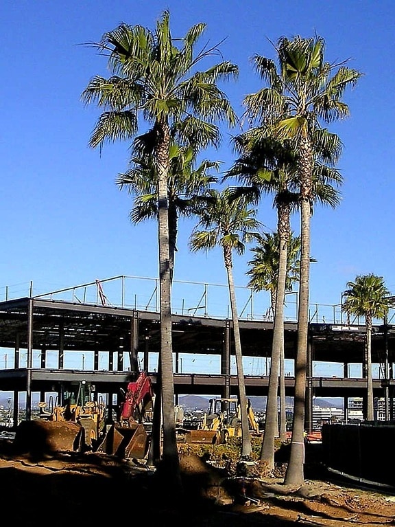 edificio, construcción, San Diego