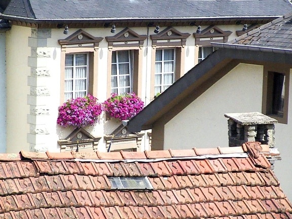 roof, building