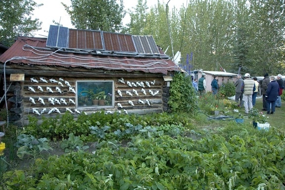 cabine, solaire, panneaux