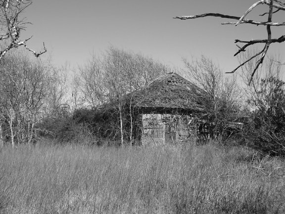 rolników, opuszczony dom, Palacios, Texas