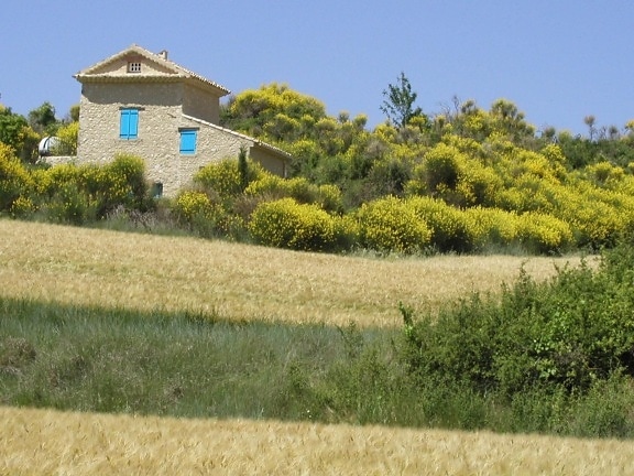 boerderij, Provence, Frankrijk