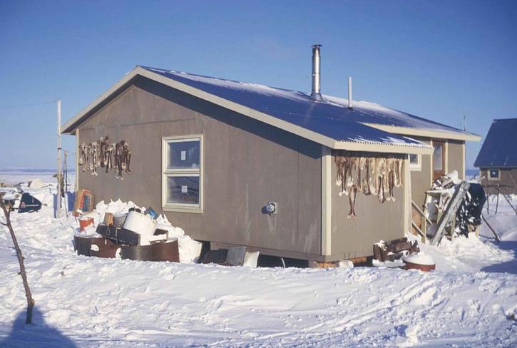 house, winter, caribou, leg, skins, drying, building