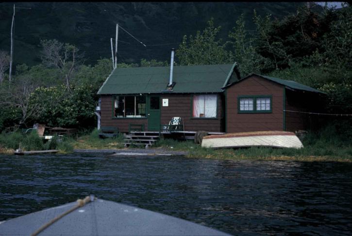 kis, fából készült ház, tó