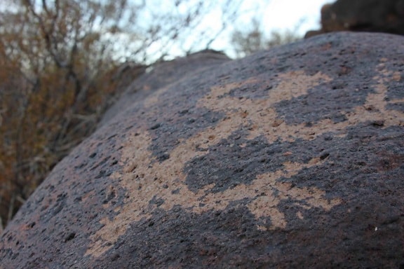 Petroglyph, bild, snidade, yta, rock