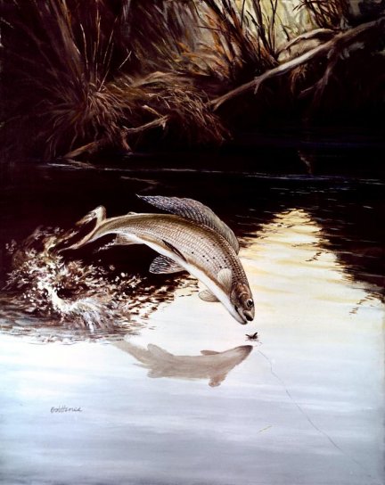 artwork, grayling, leaping, water