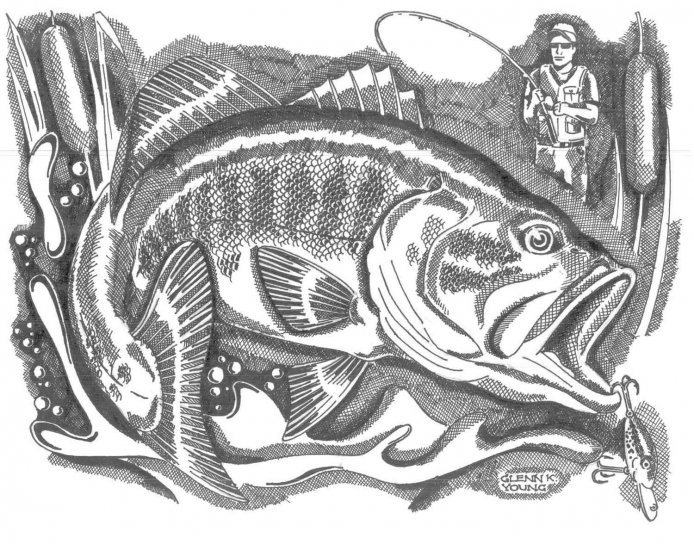 illustration, fishermen, catching, fish, paper, black and white, technique