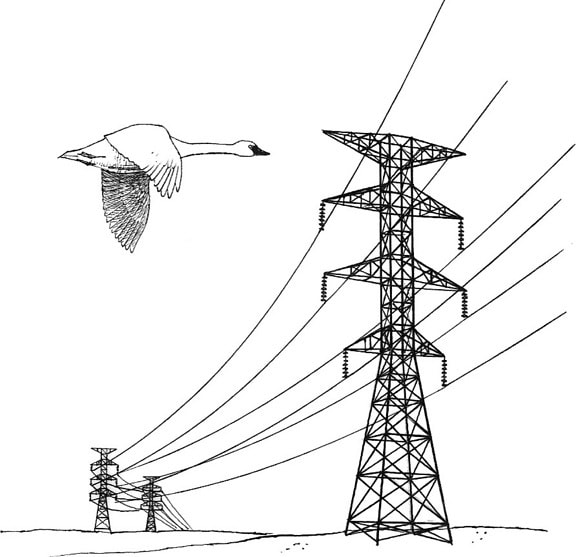 power, lines, hazard, illustration
