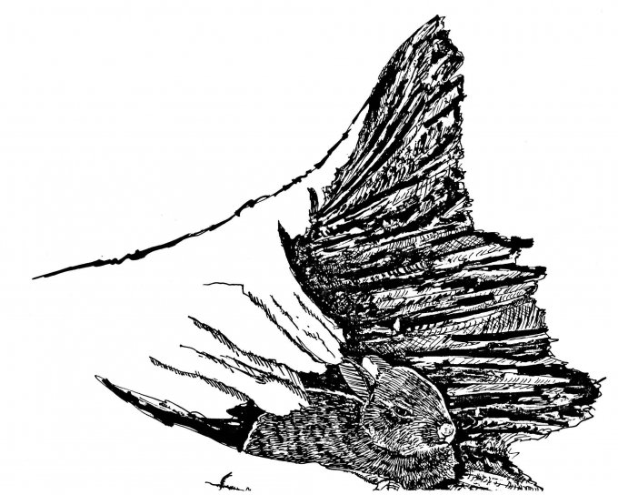 Kaninchen, log, illustration