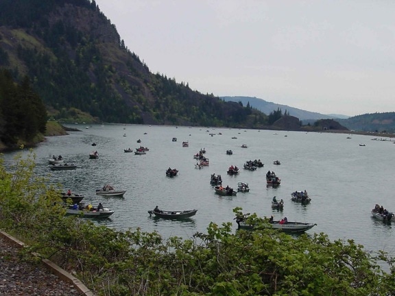anglers, crowd, people, boats, water