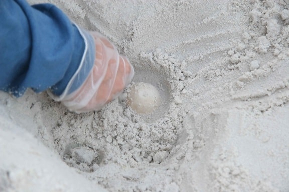 circles, egg, help, loosen, sand