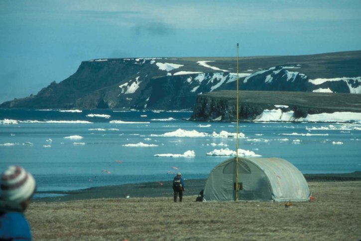 fältet, camp, Alaska, vinter