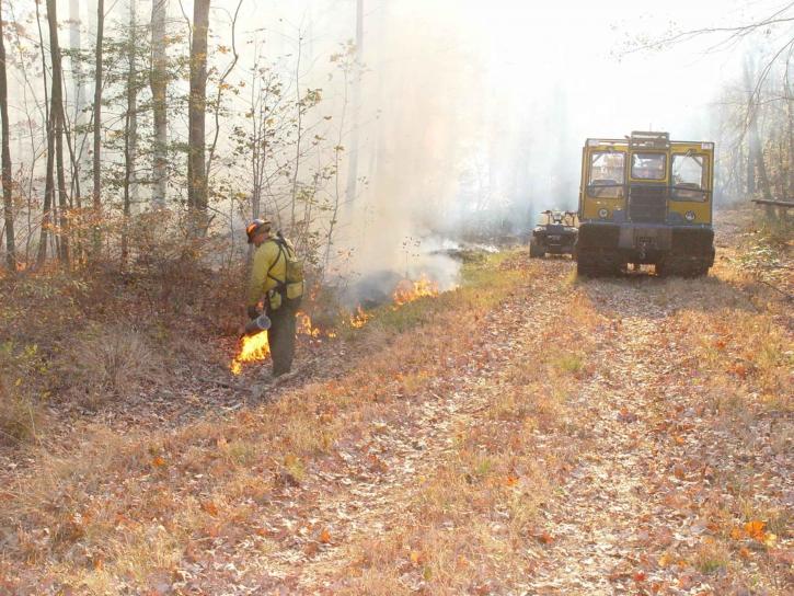 pompiers, lourd, machinerie, contrôlé, le feu