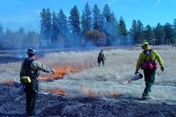 fire, prescribed, fire, expertise
