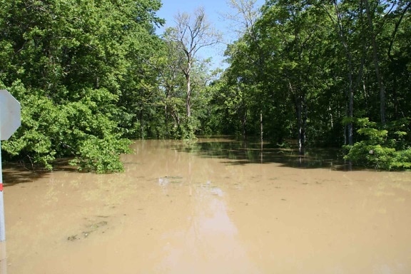 Free picture: house, flood