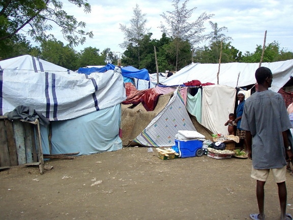 Haiti, muž, stojaci vonku, provizórne, stan, domy