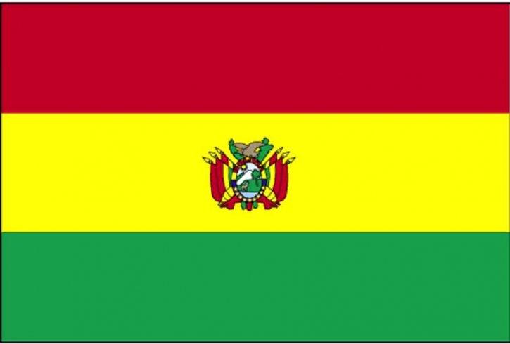 깃발, 볼리비아