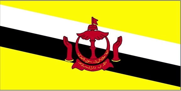 bandera, Brunei