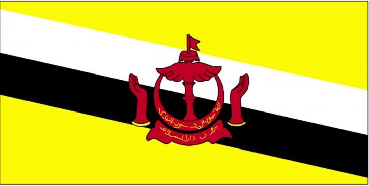 vlajka, Brunej