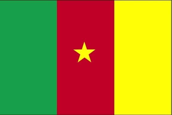 bandiera, Camerun