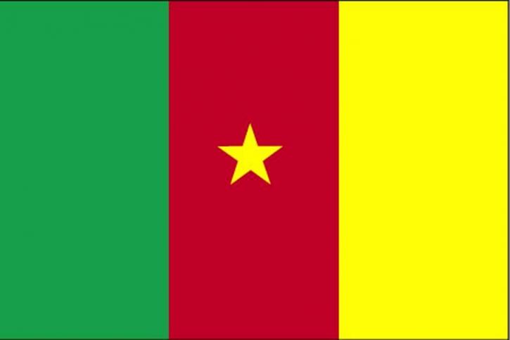 Flagge, Kamerun
