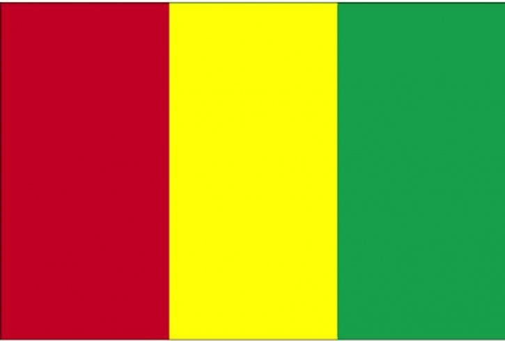 flagga, Guinea