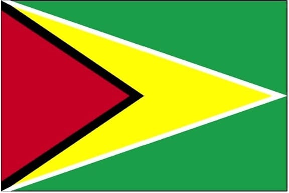 flag, Guyana
