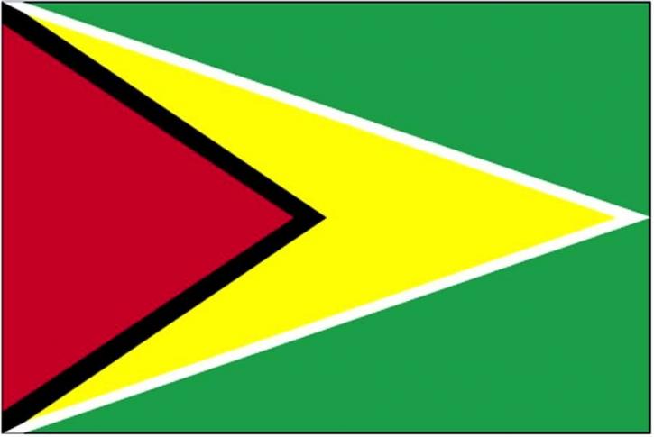 bendera, Guyana