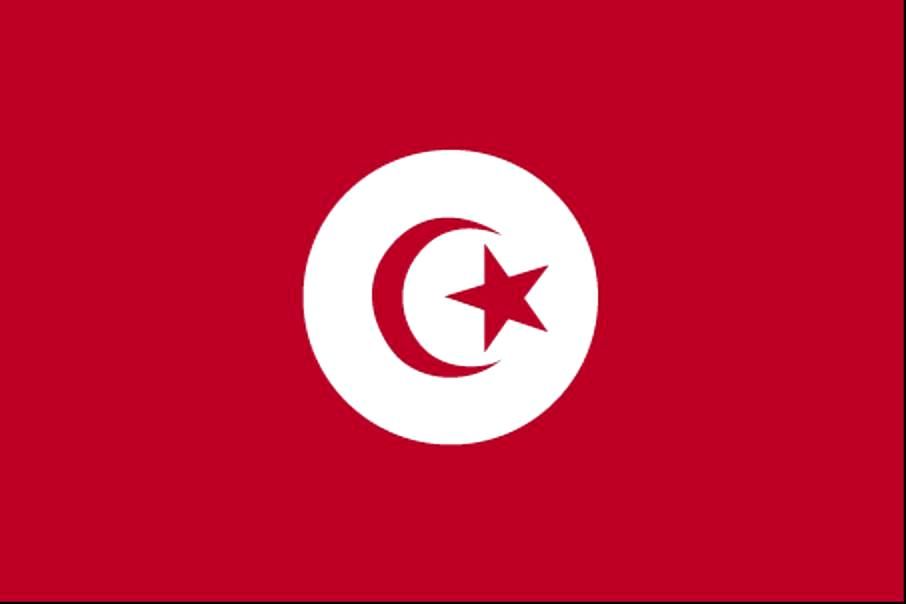 Free picture: flag, Tunisia