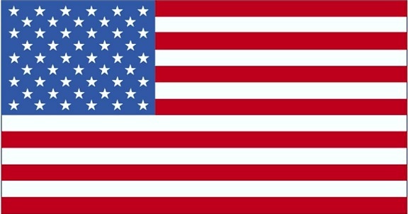 Bandiera, Stati Uniti in America