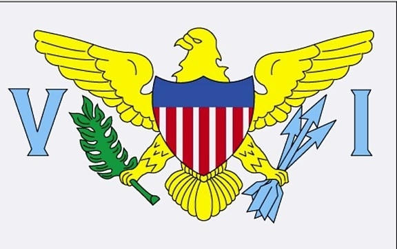 Flaga, Wyspy Dziewicze Stanów Zjednoczonych