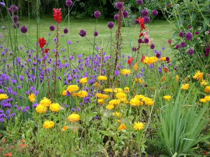 colourful, flowerbed, Italian, garden, mount, stewart, house