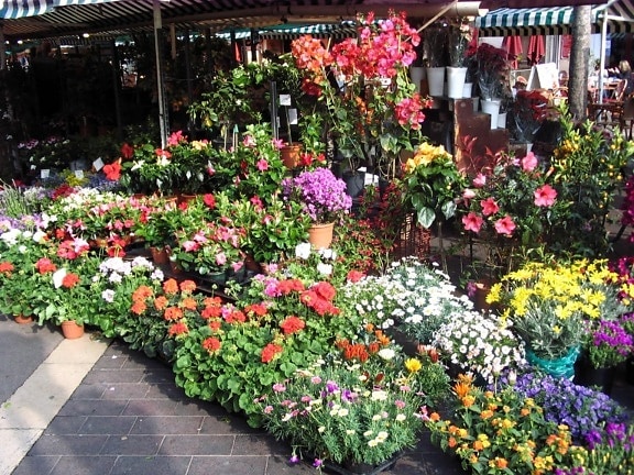 bunga, pasar