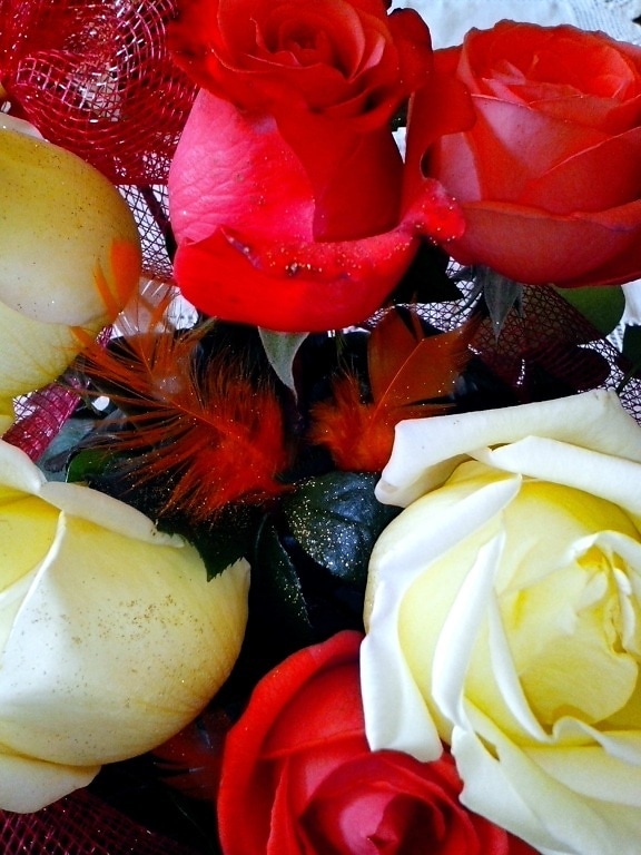 Korb, blühen, Blumen, Rosen