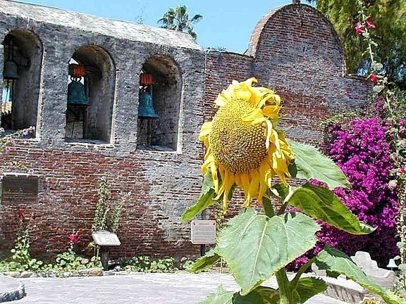 misi, capistrano, gereja, lonceng, dinding, bunga matahari, lengkungan