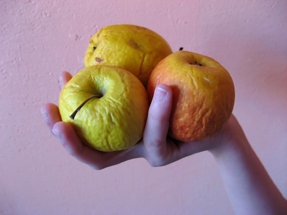 drei, Äpfel, Hand