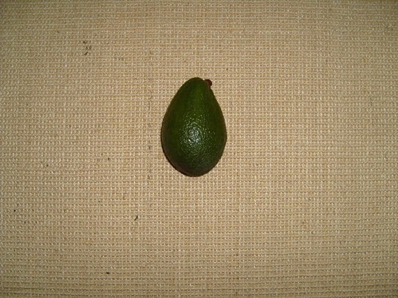 avocado, fruit, persea, Americana