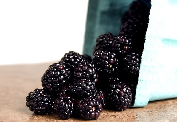 container, blackberries, up-close, macro