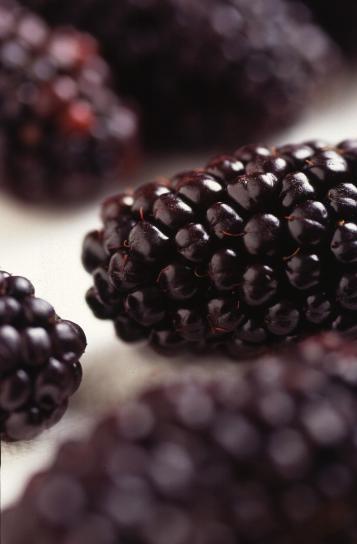 genetically, modified, blackberries