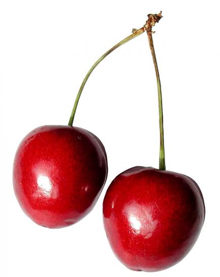 ciliegia, frutta, sfondo bianco