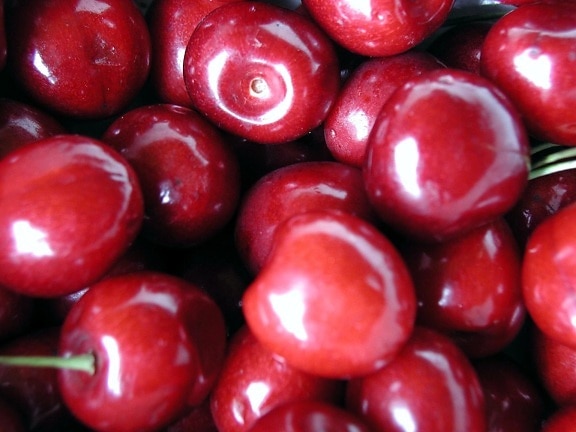 Cherry, röd, frukter