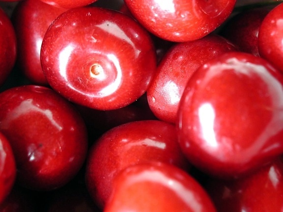 red, cherry, stock, photo