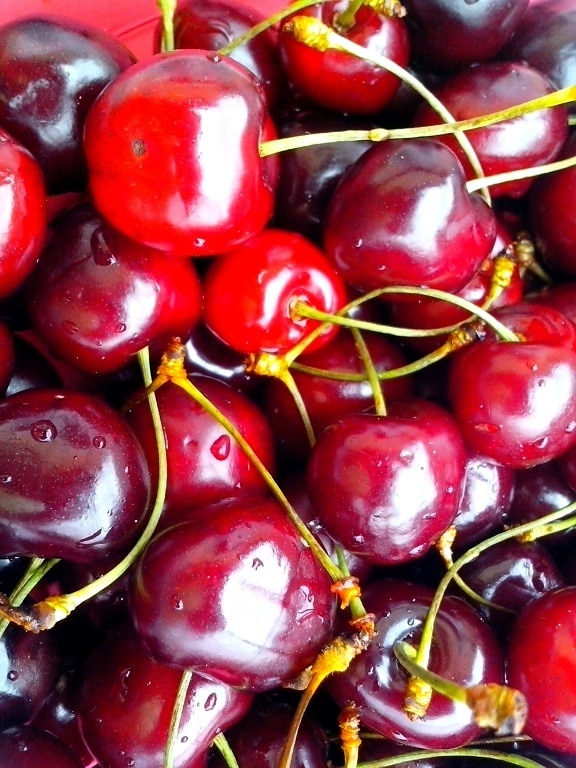ripe, red, cherries