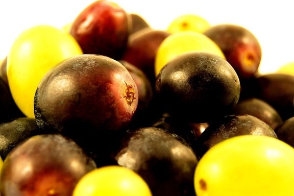 grapes, red, white, macro
