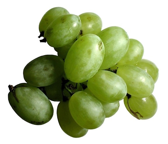 grøn, grape, frugt