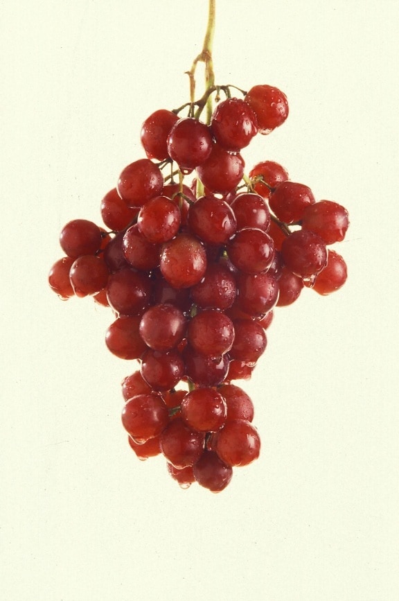 red, grapes