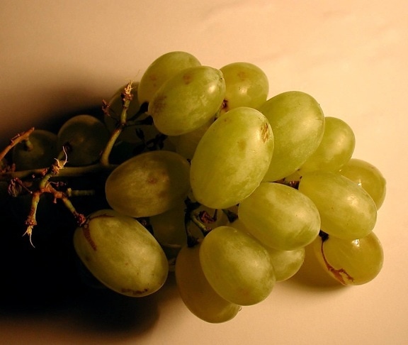 vid, la uva