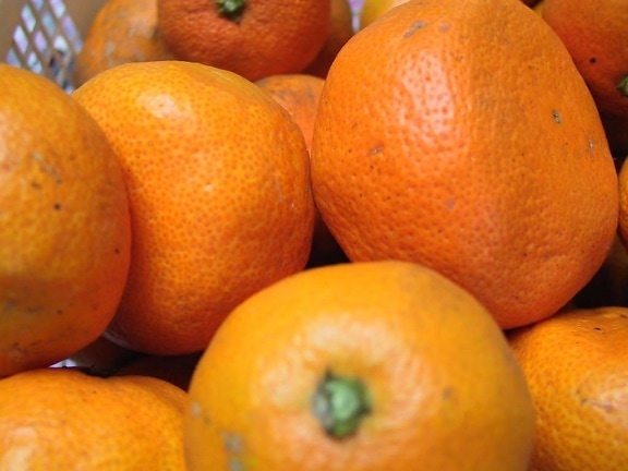 อร่อย ญี่ปุ่น ทอดมัน ส้ม ผลไม้