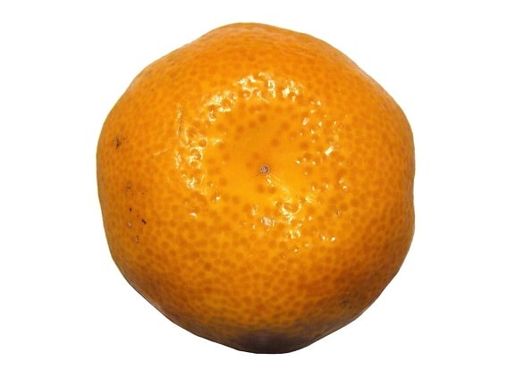 mandarine, fruits, fond blanc